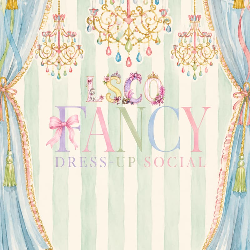 Cover Image for The Fancy Dress-Up Social