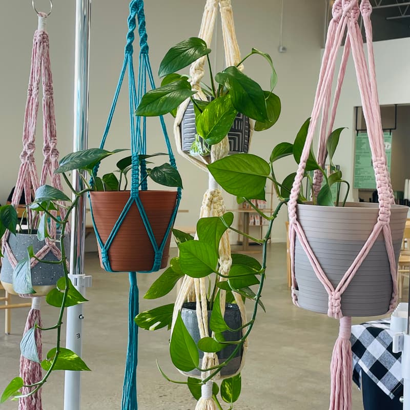 Cover Image for Make a Macramé Plant Hanger