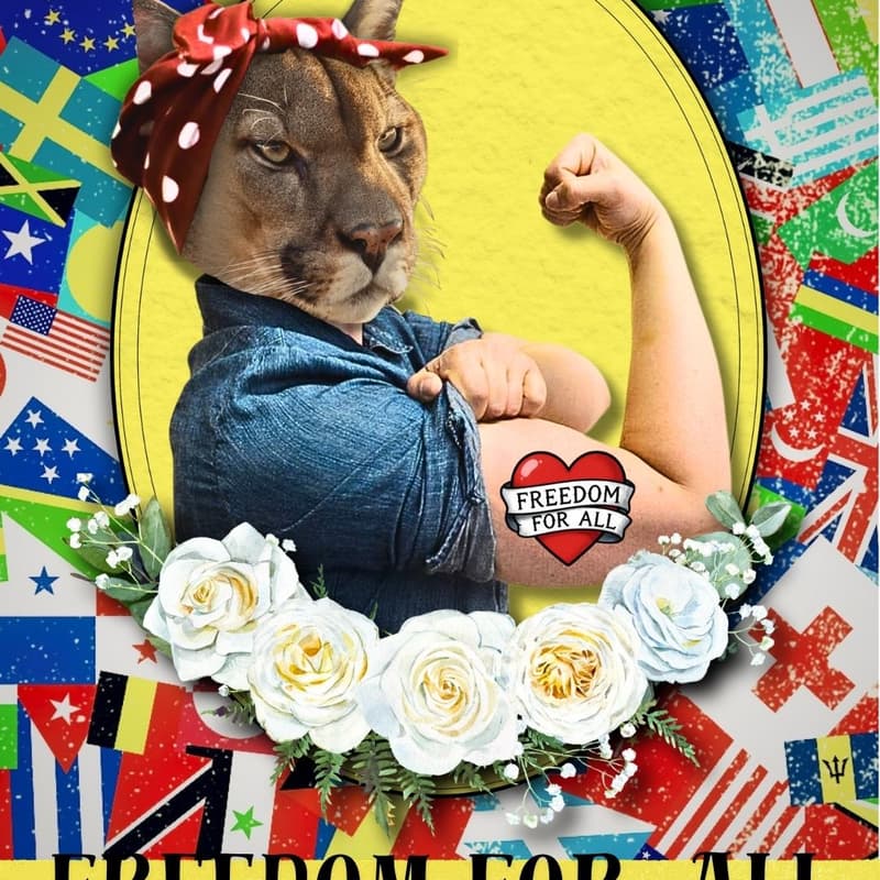 Cover Image for FREEDOM FOR ALL_ Cougar Club Lawrence