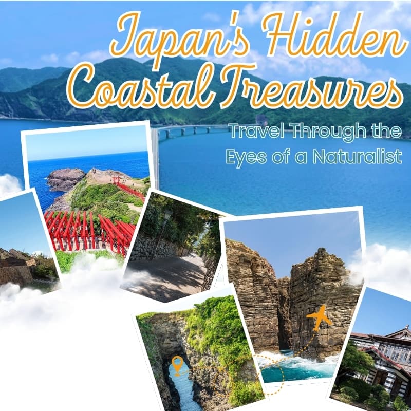 Cover Image for Japan's Hidden Coastal Treasures: Travel Through the Eyes of a Naturalist