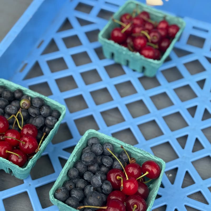 Cover Image for Fruits and Florals bake swap