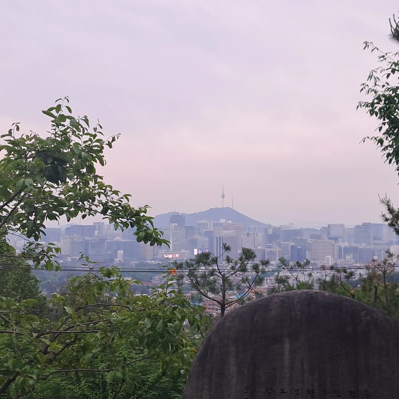 Cover Image for Seoul Local Tour | Seochon & Buam-dong Walking Tour