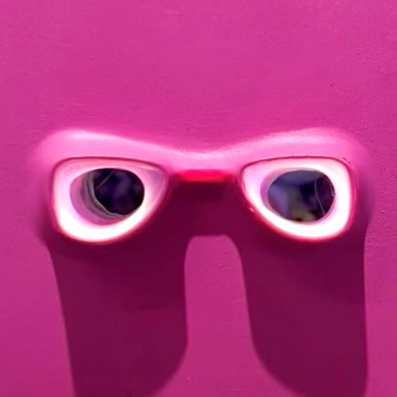 Cover Image for Vers/Looking: Private Viewing