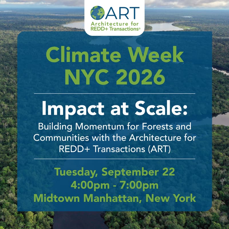 Cover Image for Impact at Scale: Building Momentum for Forests and Communities with the Architecture for REDD+ Transactions (ART)