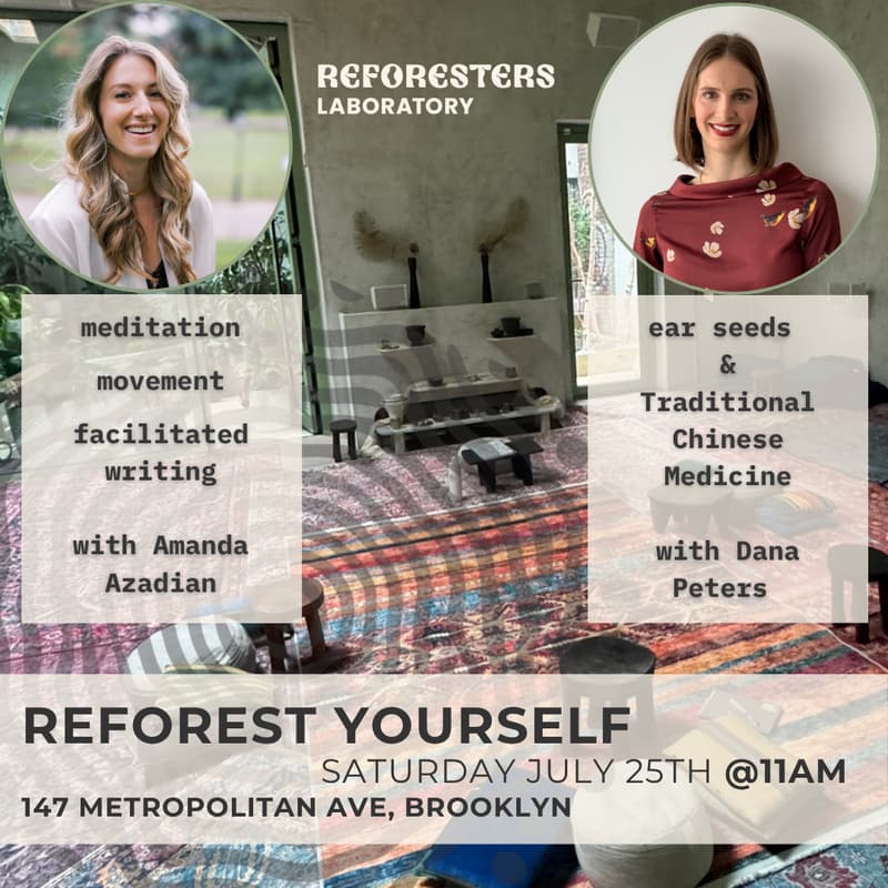 Cover Image for Reforest Yourself