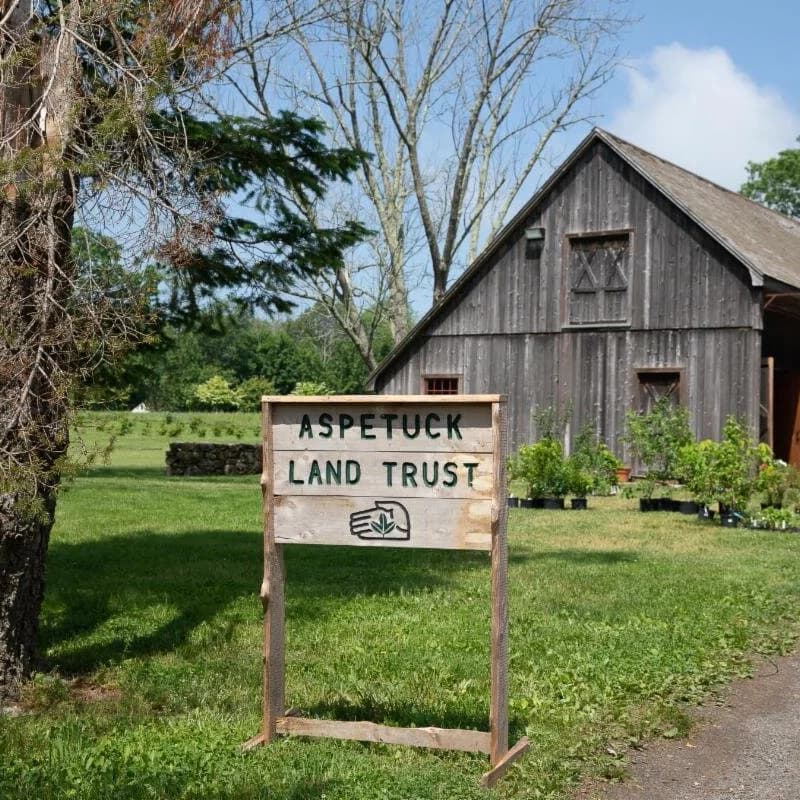 Cover Image for Civic Coffee Hour: Protecting Norwalk's green spaces, w/Aspetuck Land Trust's Matt Kuroghlian