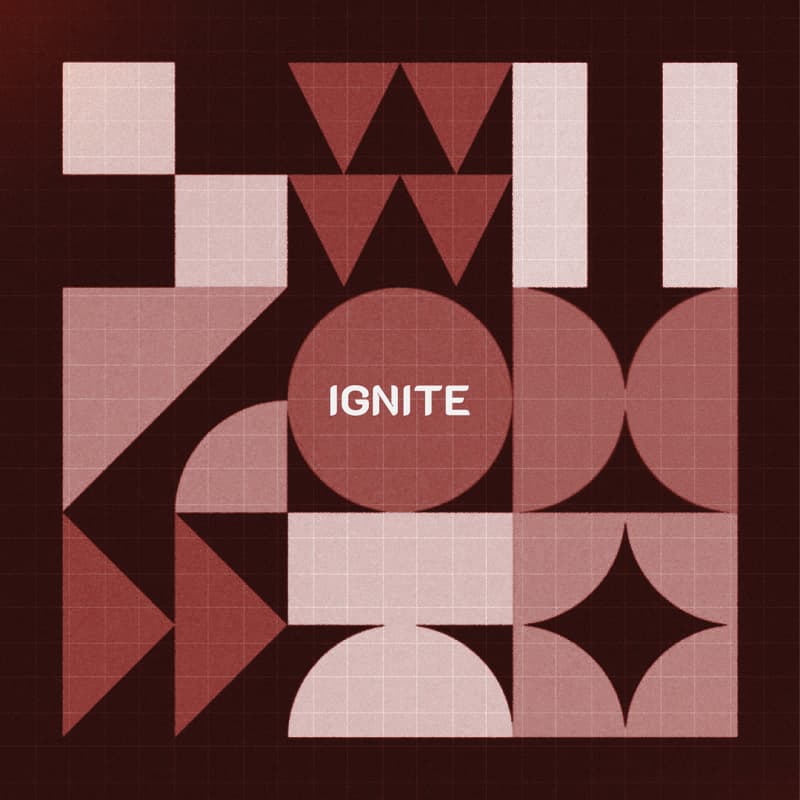 Cover Image for Ignite Alumni Meetup