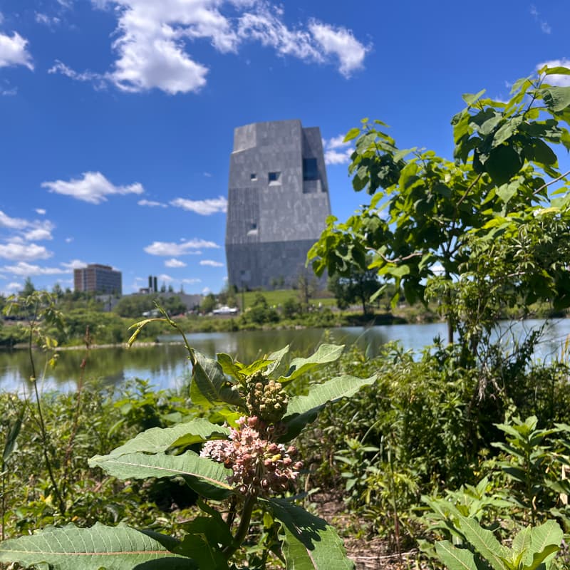 Cover Image for Join Women in Green at Obama Center Gardens 8/31 5-7PM