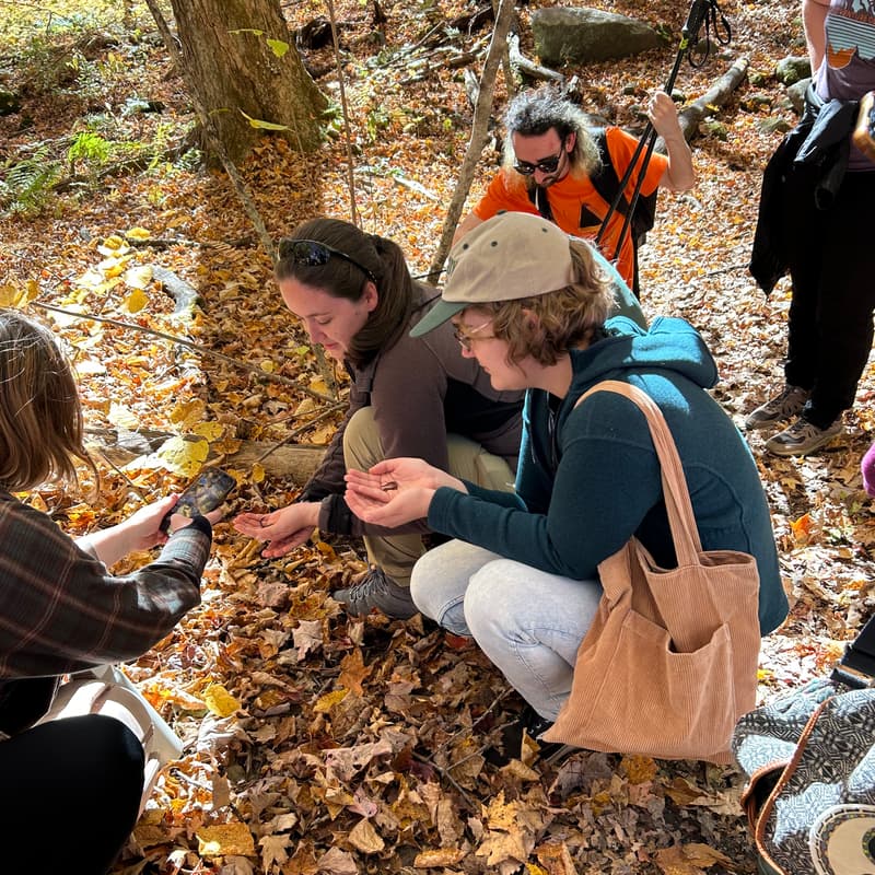 Cover Image for Critter Walk - Western Massachusetts
