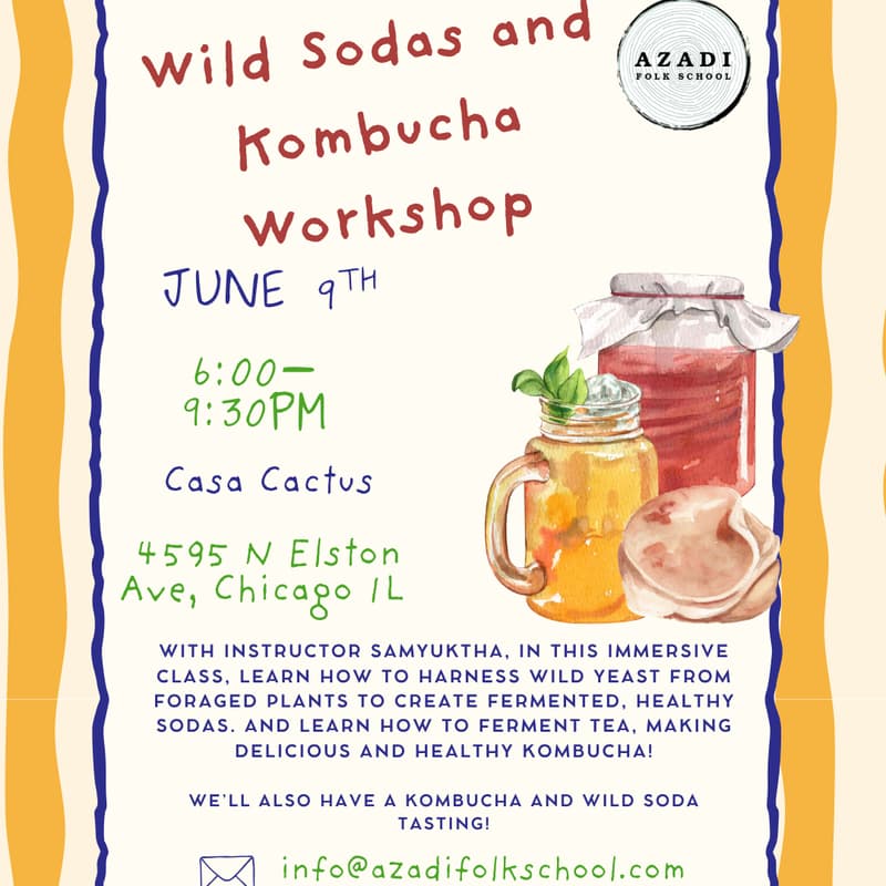 Cover Image for Wild Sodas and Kombucha