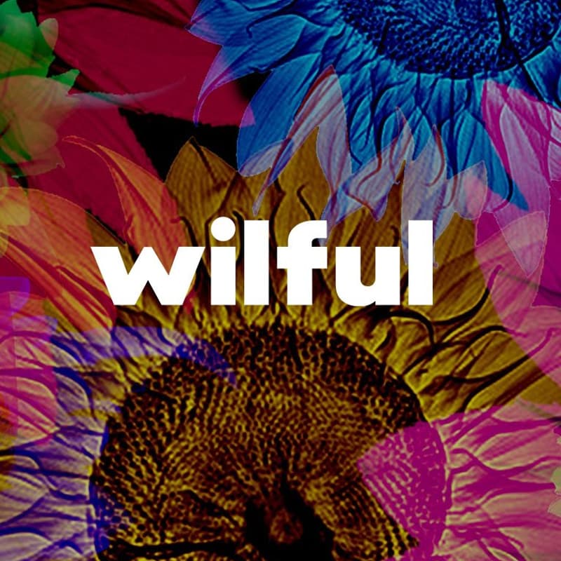 Cover Image for Wilful - Lunch & Learn - Understanding Modern PR. What's Changed, What Works and The Truth About PR That Most People Learn Too Late