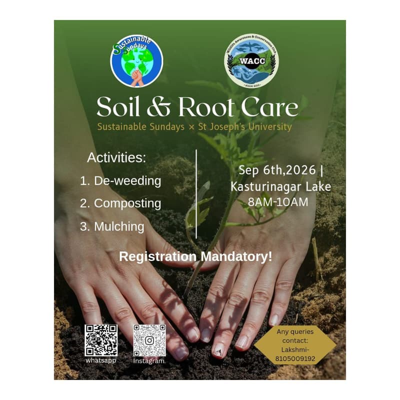 Cover Image for Sustainable Sunday's Sapling Care Workshop