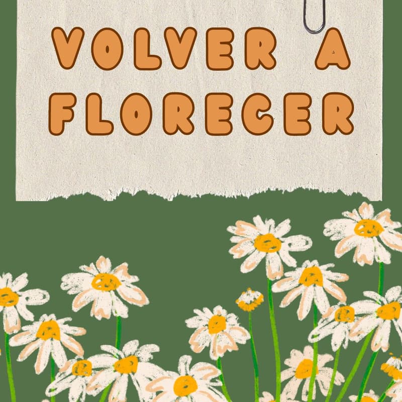 Cover Image for Volver a florecer NYC!