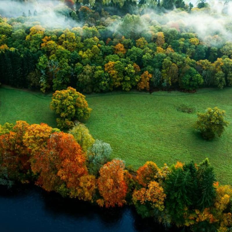 Cover Image for CCI In Conversation: Reflecting on nature policy after 100 days of Andy Burnham’s government
