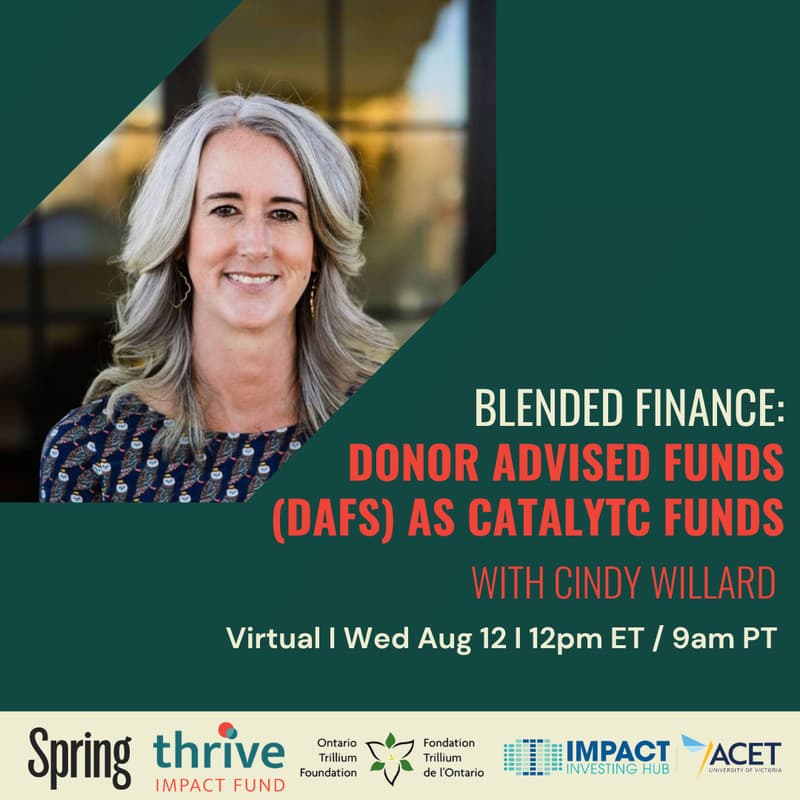 Cover Image for Donor Advised Funds (DAFs) as Catalytic Capital