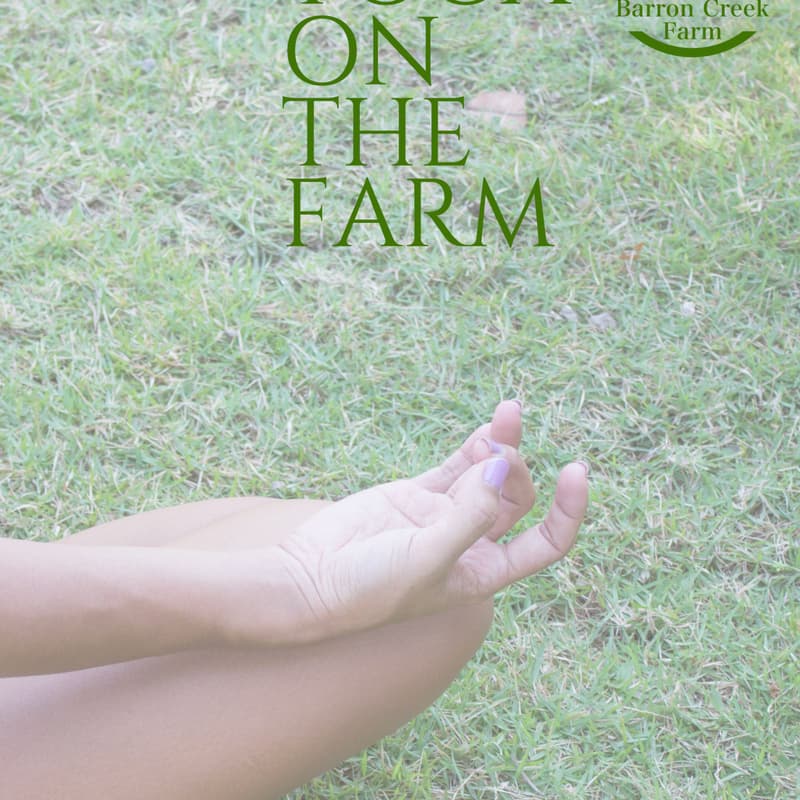 Cover Image for Yoga on the Farm
