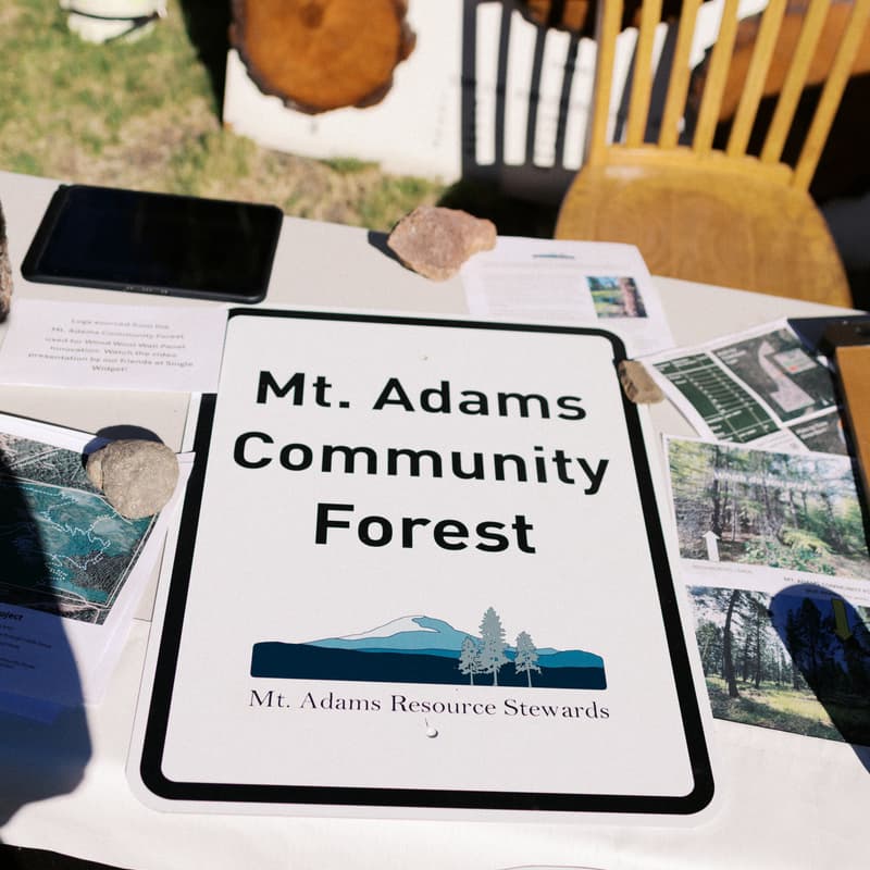 Cover Image for From the Forest: Chainsaw Skills and Safety with Lucas King
