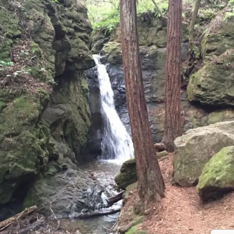 Cover Image for September - Founders Walking Meeting - Mill Valley