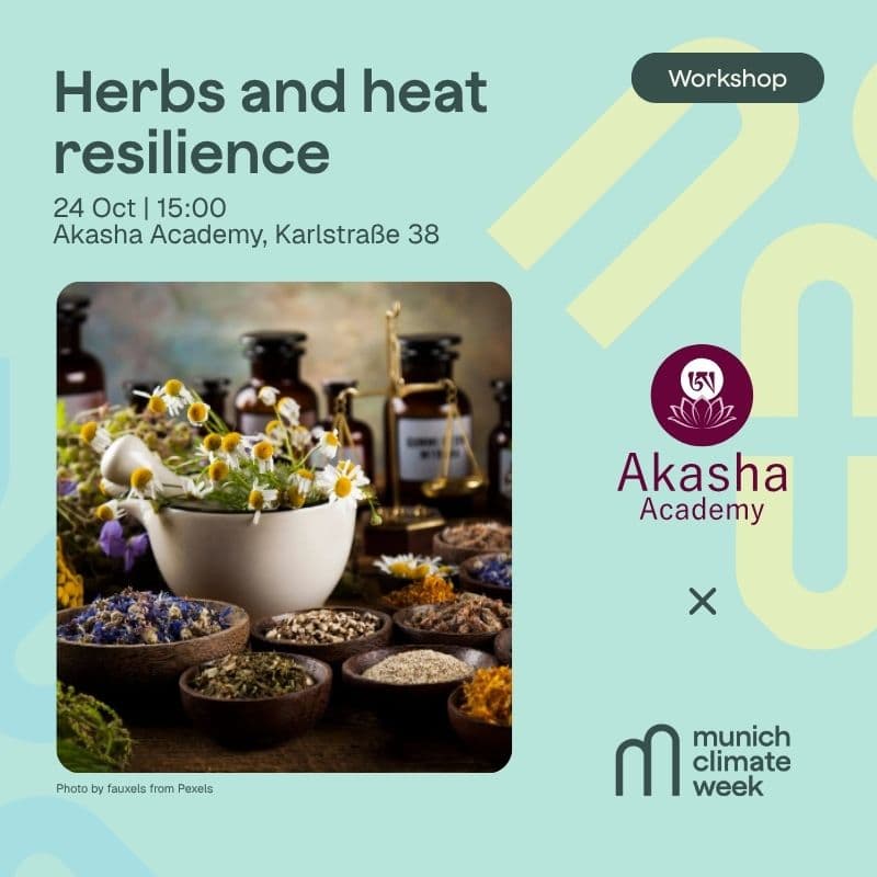 Cover Image for Herbs and heat resilience - Kräuterworkshop