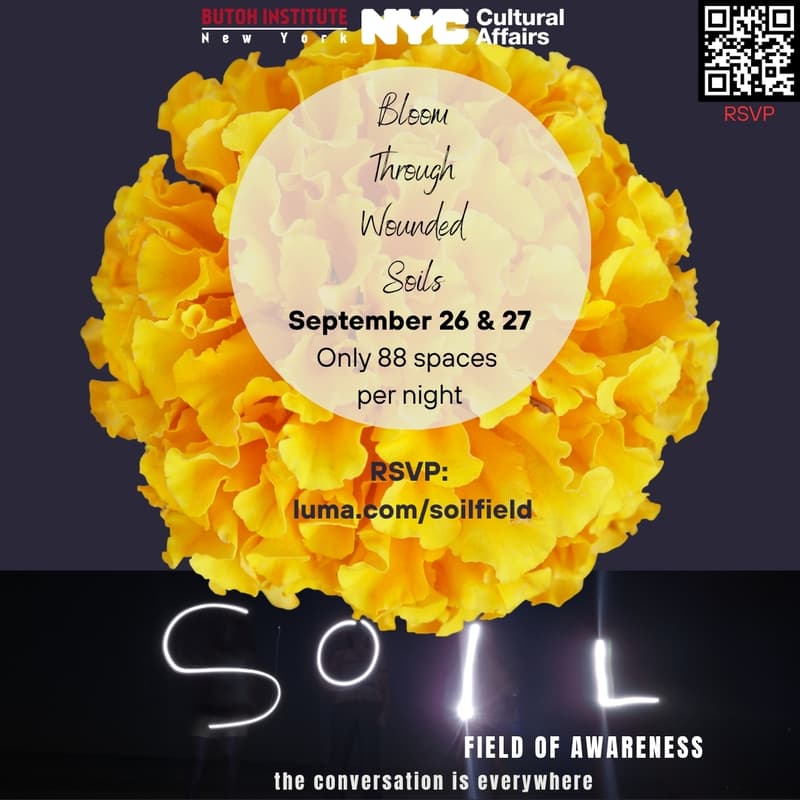 Cover Image for Soil:Field of Awareness