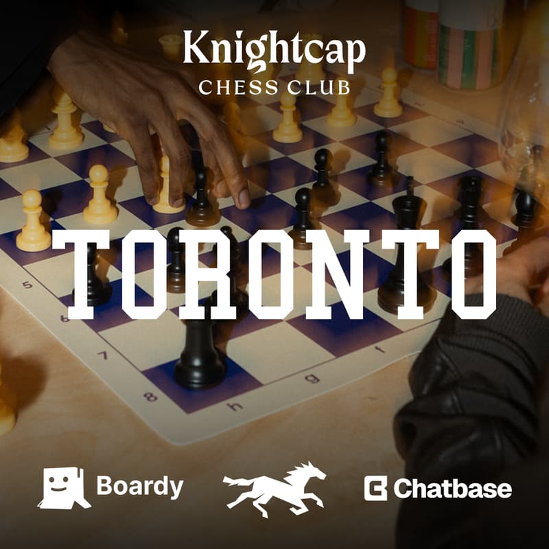 Cover Image for FOUNDER CHESS KNIGHT