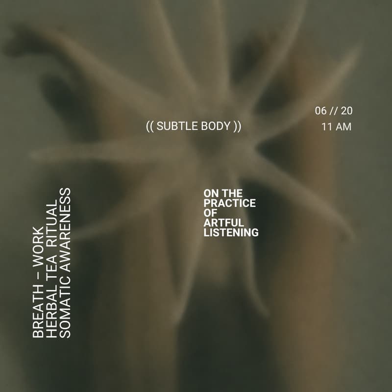 Cover Image for (( SUBTLE BODY )) On the Practice of Artful Listening