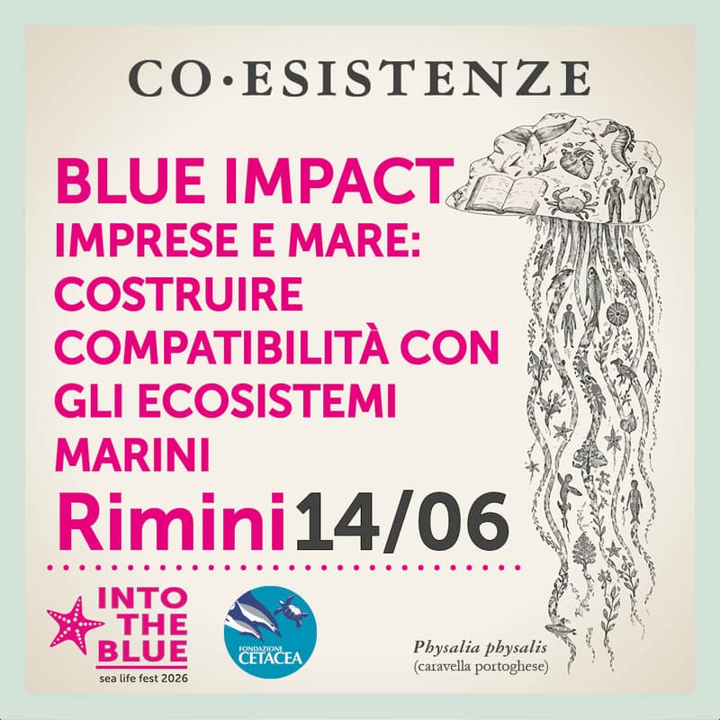 Cover Image for Blue Impact