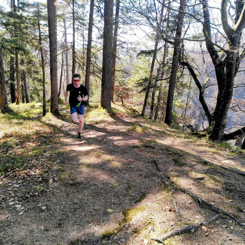 Cover Image for Community Trail Run Schwarzenburg