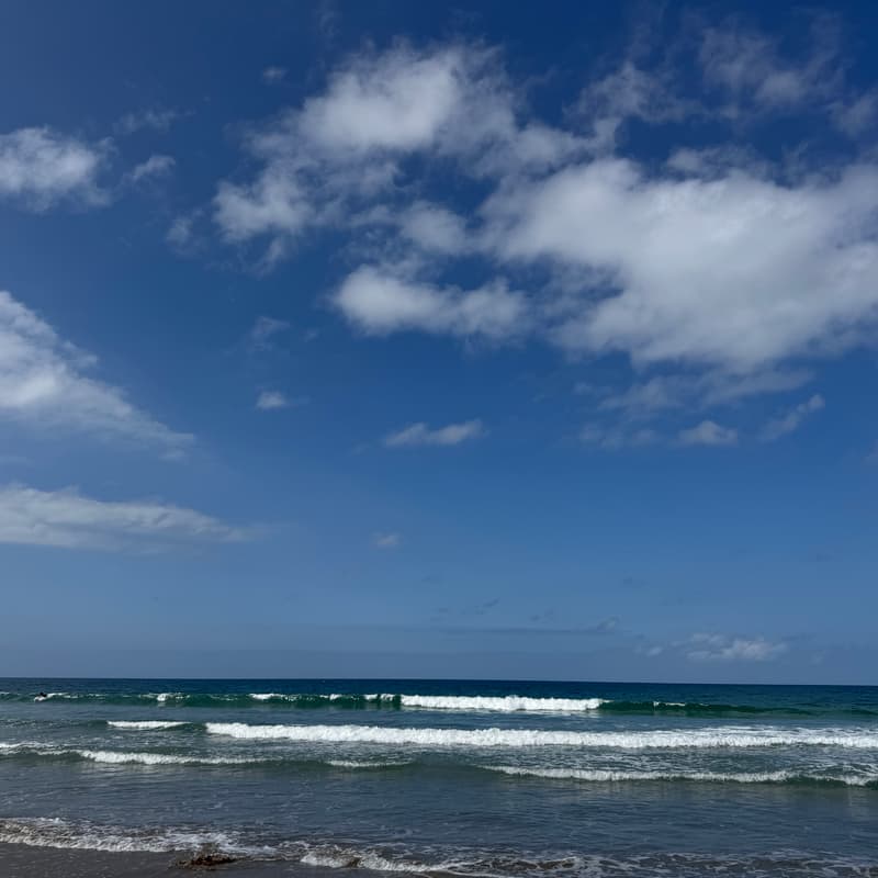 Cover Image for Datagrom AI: El Porto Paddle-Out
