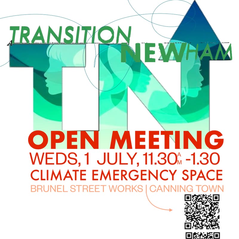Cover Image for Transition_Newham Open Meeting