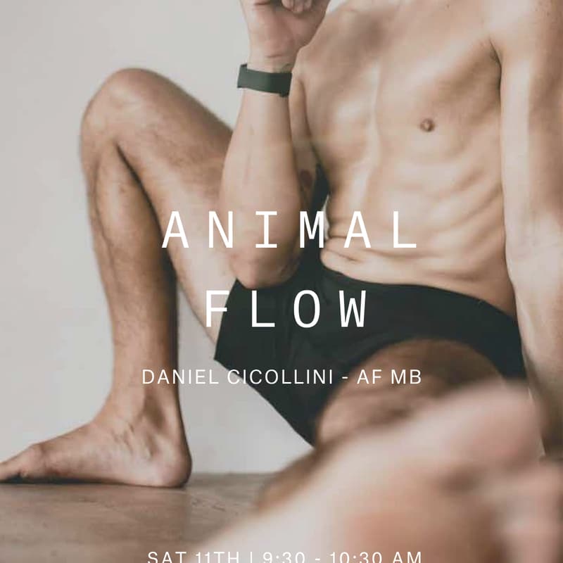 Cover Image for Animal Flow