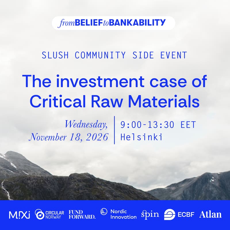 Cover Image for The investment Case of Critical Raw Materials
