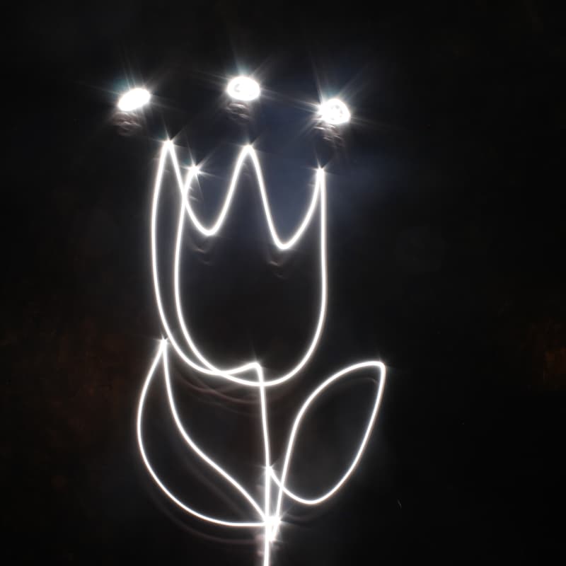 Cover Image for Light Painting Workshop ✨📷