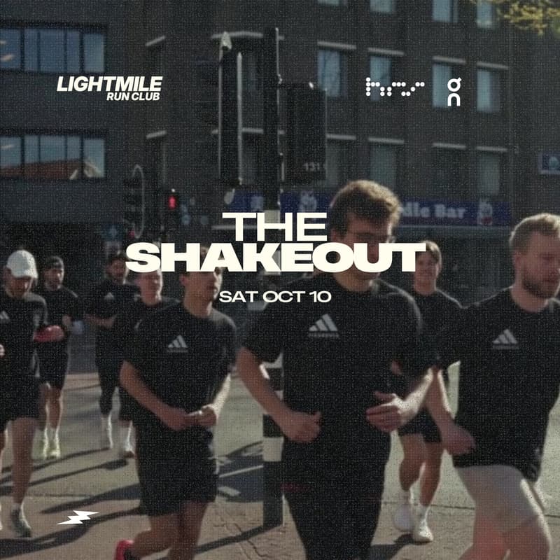 Cover Image for THE SHAKEOUT