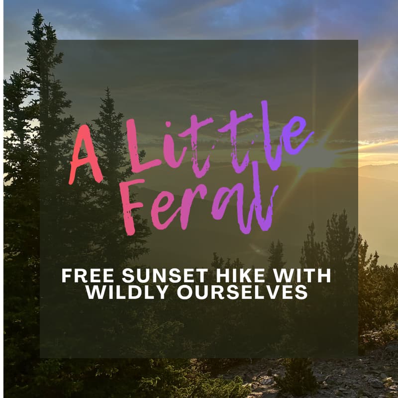 Cover Image for A Little Feral: A free sunset hike with Wildly Ourselves