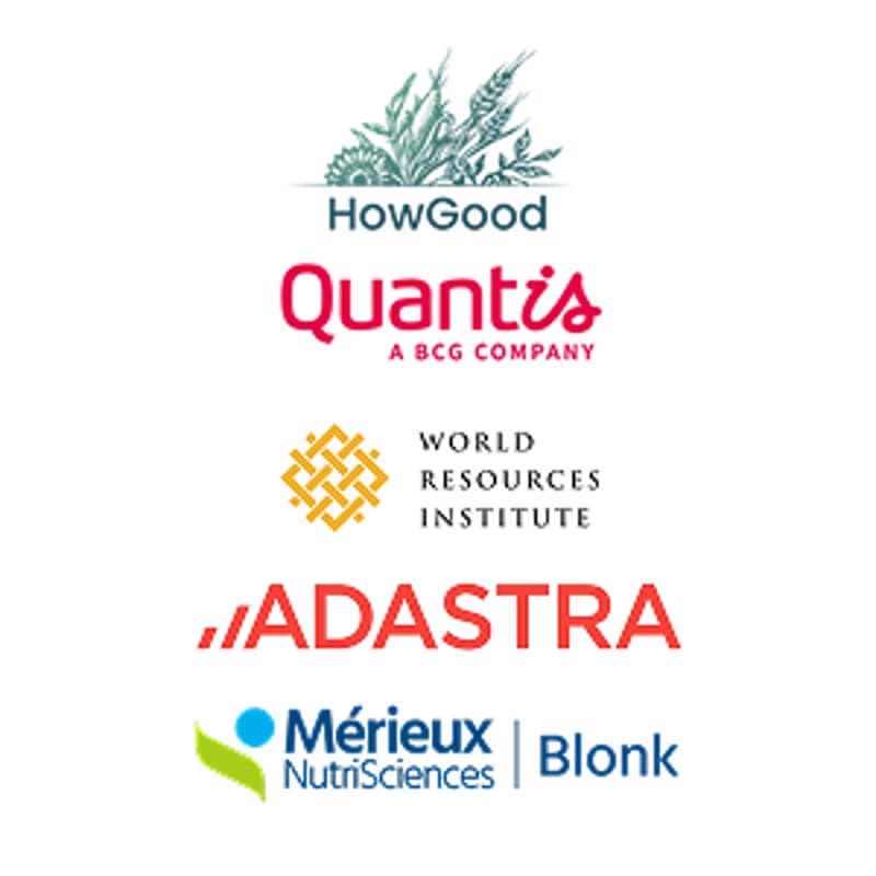 Cover Image for Land Emissions Alliance