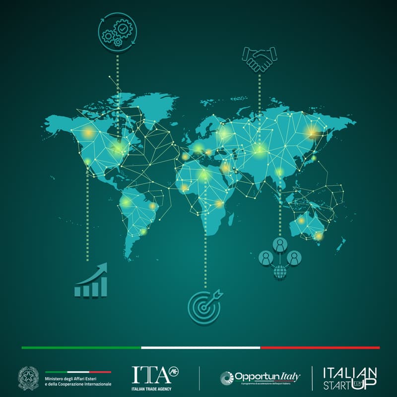 Cover Image for Internationalizing innovation: scaling globally to capture foreign market opportunities