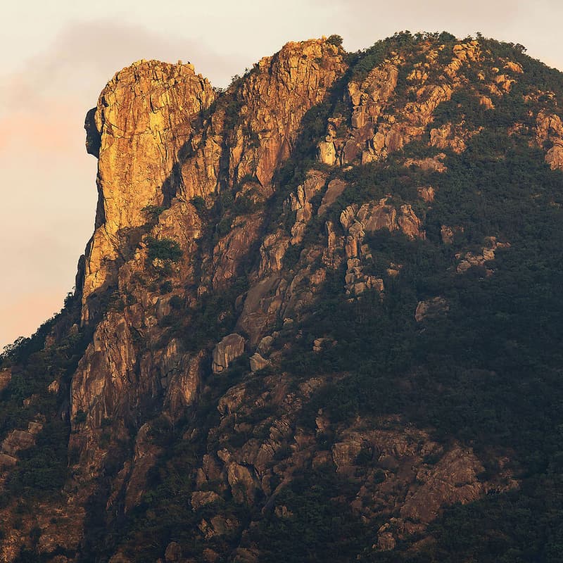 Cover Image for ARC Hike #1 - Lion Rock