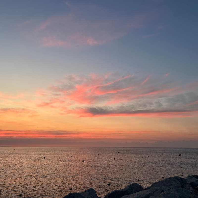 Cover Image for Sunrise Yoga: Inner Grounding for Outer Change