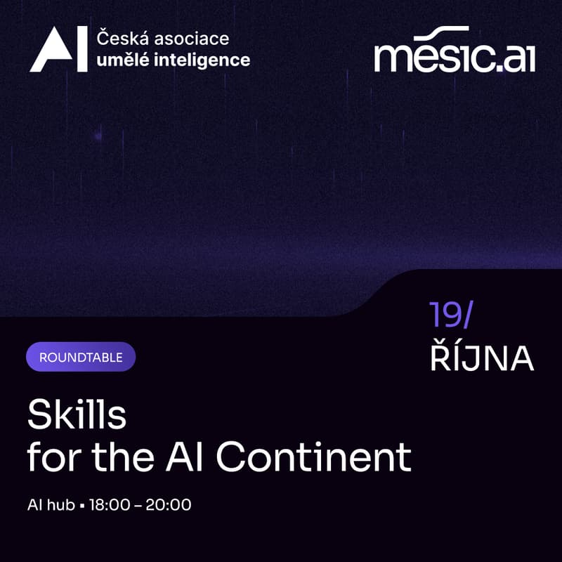 Cover Image for Skills for the AI Continent Roundtable