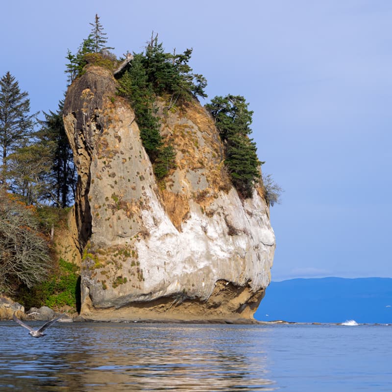Cover Image for Conservation on the Frontlines: From Seattle to the Olympic Coast