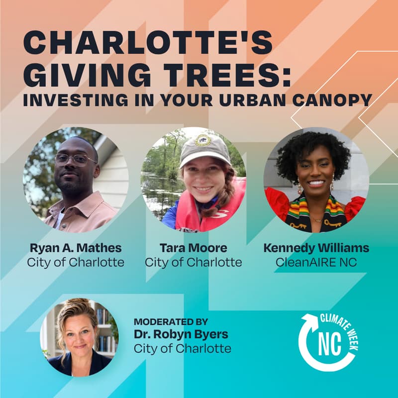 Cover Image for Charlotte's Giving Trees: Investing in Your Urban Canopy