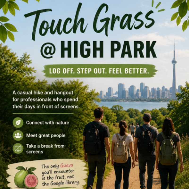 Cover Image for Touch Grass: Easy hike without bots