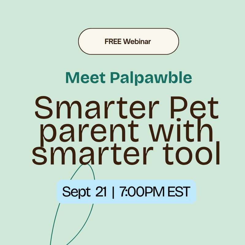Cover Image for Meet Palpawble