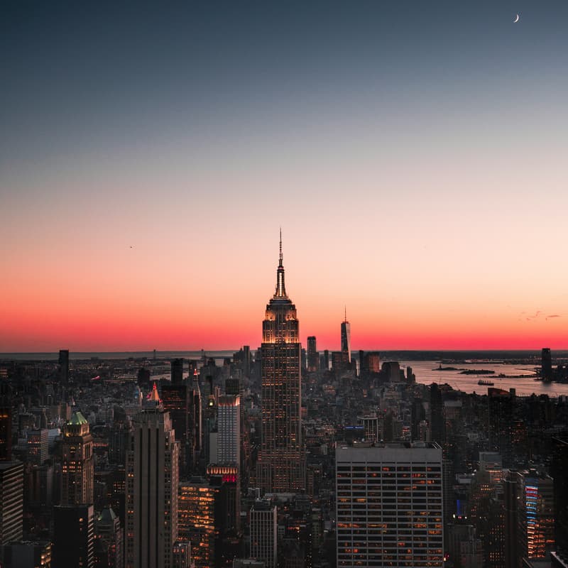 Cover Image for Wildcard NYC