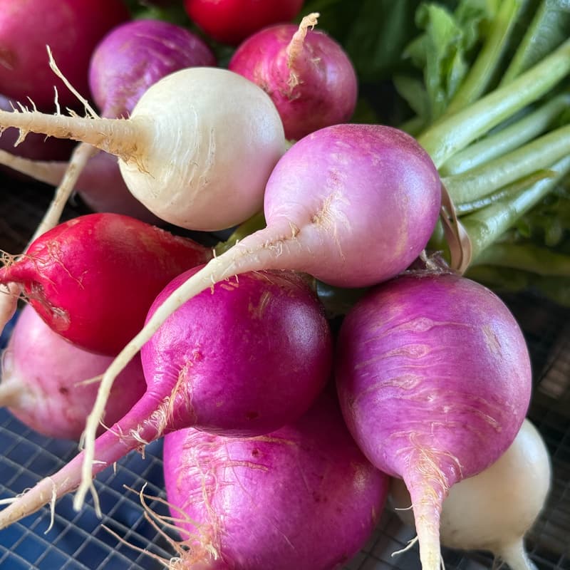 Cover Image for Gratitude Season Feast: A Farm to Table Experience