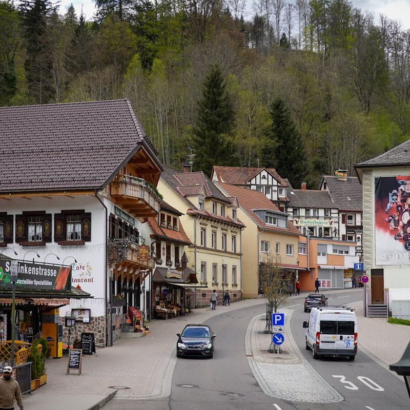 Cover Image for Corinex-Workshop – Triberg
