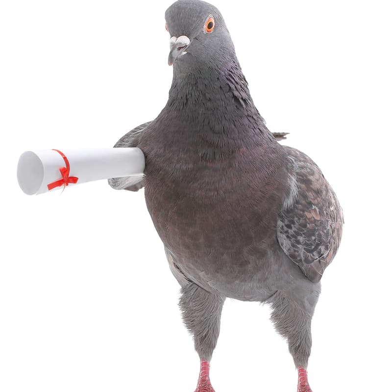 Cover Image for Guide till datadriven kommunikation - vad får och bör vi göra som arbetsgivare och platser?