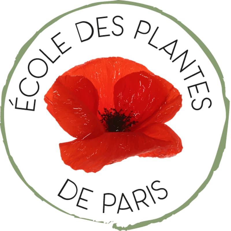 Cover Image for Bien préparer sa rentrée avec les plantes