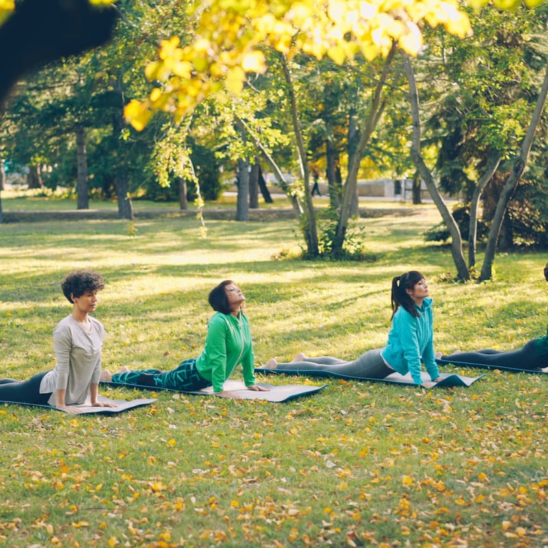 Cover Image for Kindred Brooklyn: Yoga, Meditation, and Light Breakfast in Prospect Park for Women Travelers, Sunday August 30, 10am-12pm